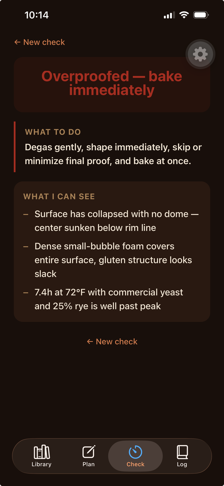 Check mode interface showing bulk ferment photo analysis with a ready verdict